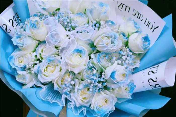 ���ױ��������ﻨ��