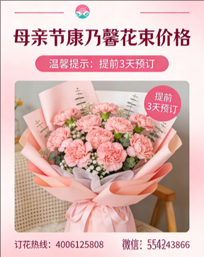 呼伦贝尔满洲里花店母亲节康乃馨花束