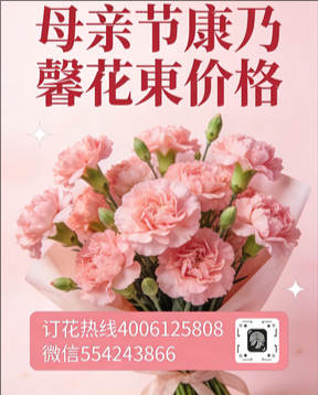 呼伦贝尔满洲里花店母亲节康乃馨花束